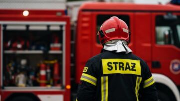 Rój pszczół w Cieszynie: Strażnicy miejscy i strażacy w akcji