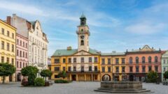 MZD szuka inspektora od zieleni i placów zabaw