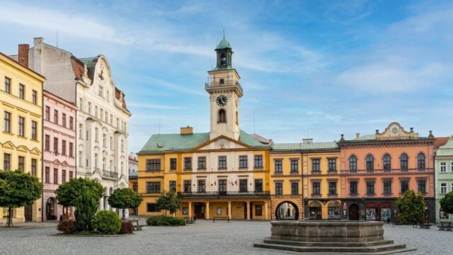 MZD szuka inspektora od zieleni i placów zabaw